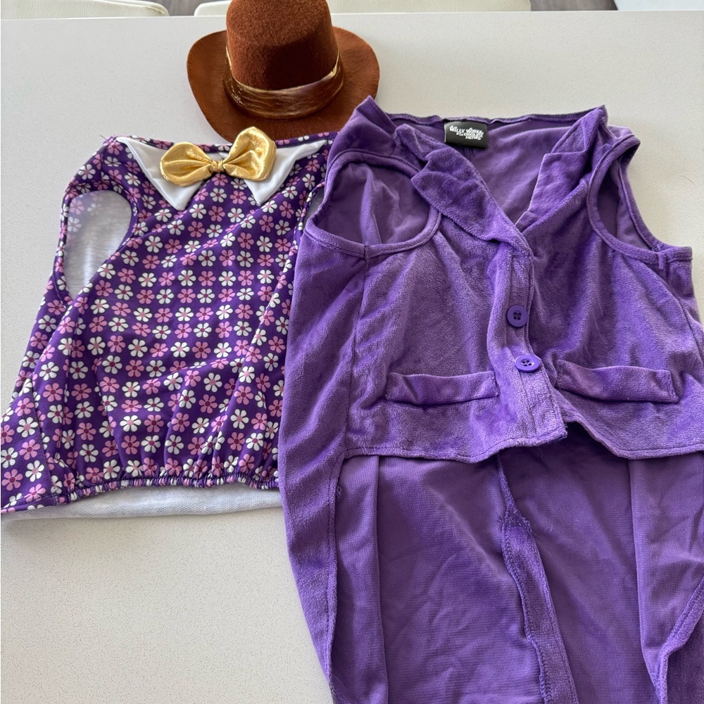 Dog Costume - Willy Wonka - Size M